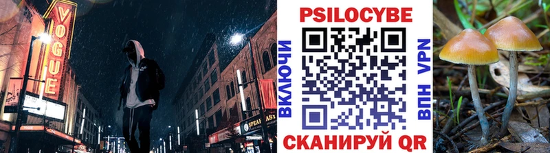 Галлюциногенные грибы мицелий  маркетплейс состав  Кстово 